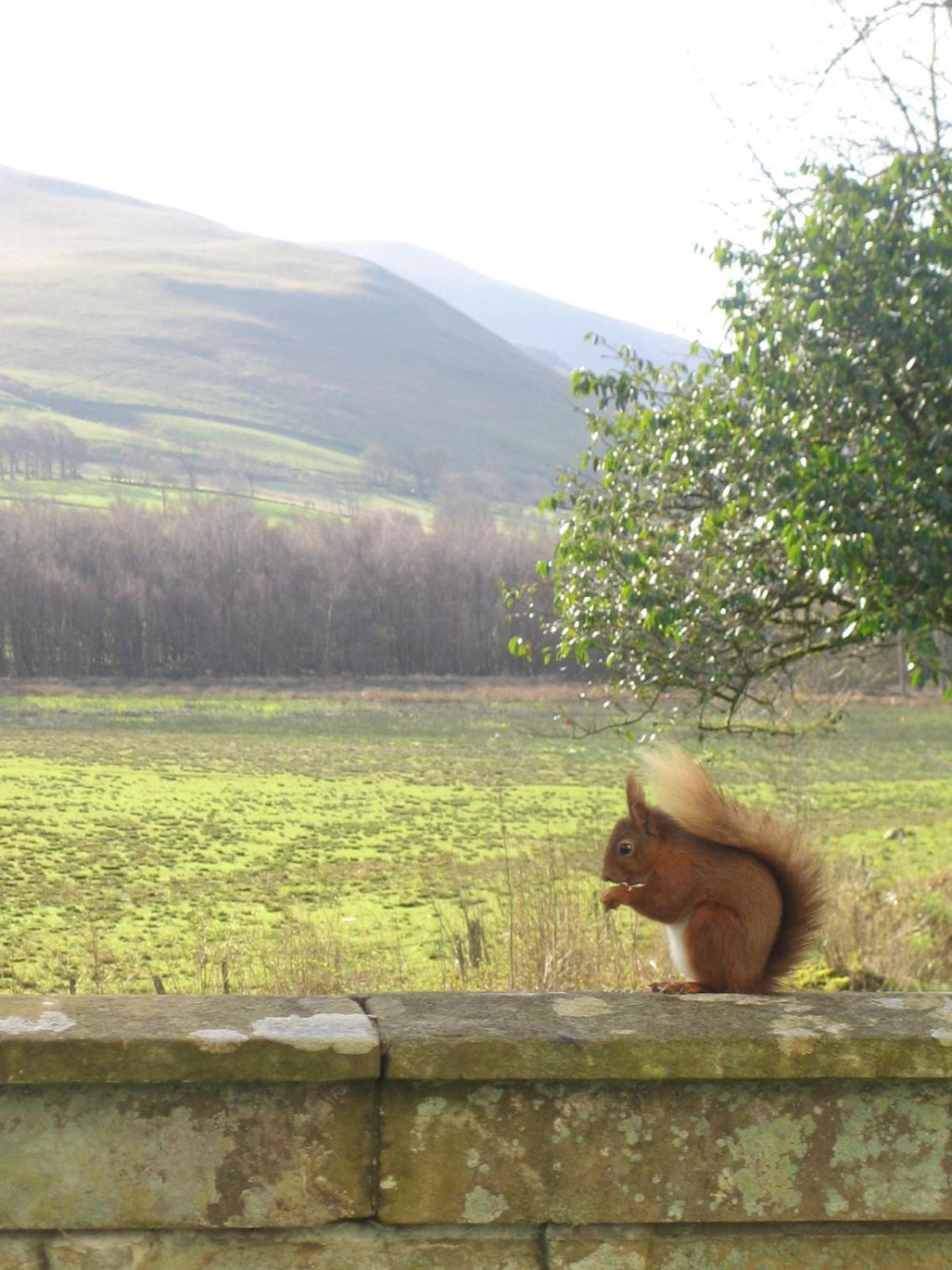 Overwater Hall Bassenthwaite Dış mekan fotoğraf